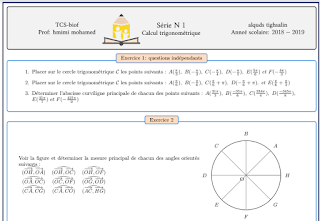 Série d’exercices maths tronc commun international : Trigonométrie partie1 et part2